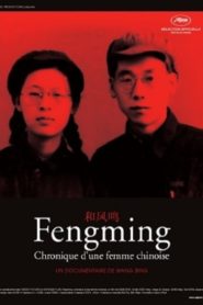 He Fengming