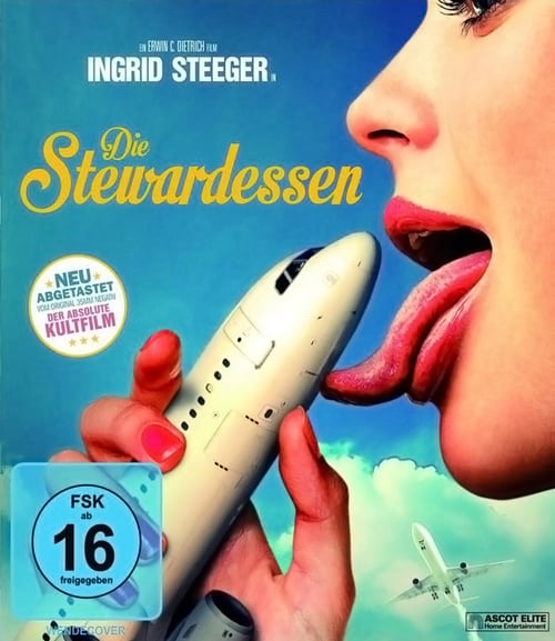 The Swingin' Stewardesses (1971) Altyazı | ALTYAZI.org